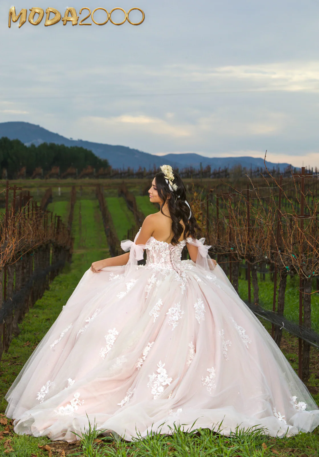 M2K VOL II | SAGE - Image 19